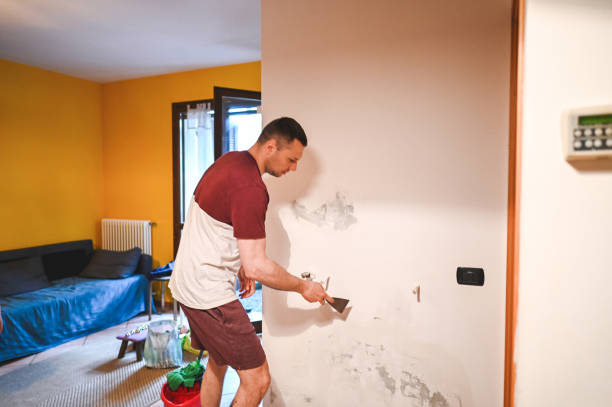 Best Residential Mold Remediation in Kingstree, SC