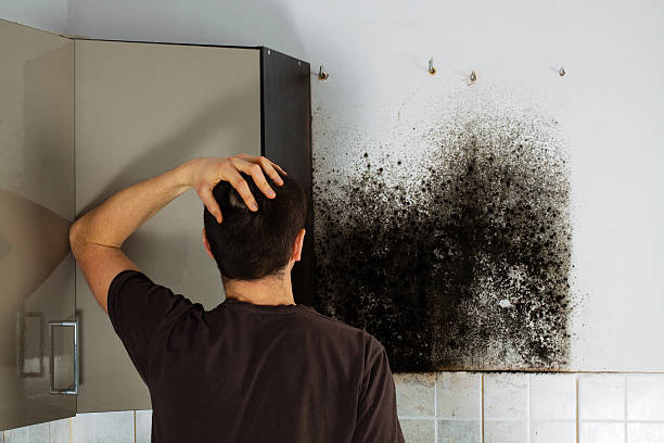Best Bathroom Mold Remediation in Kingstree, SC